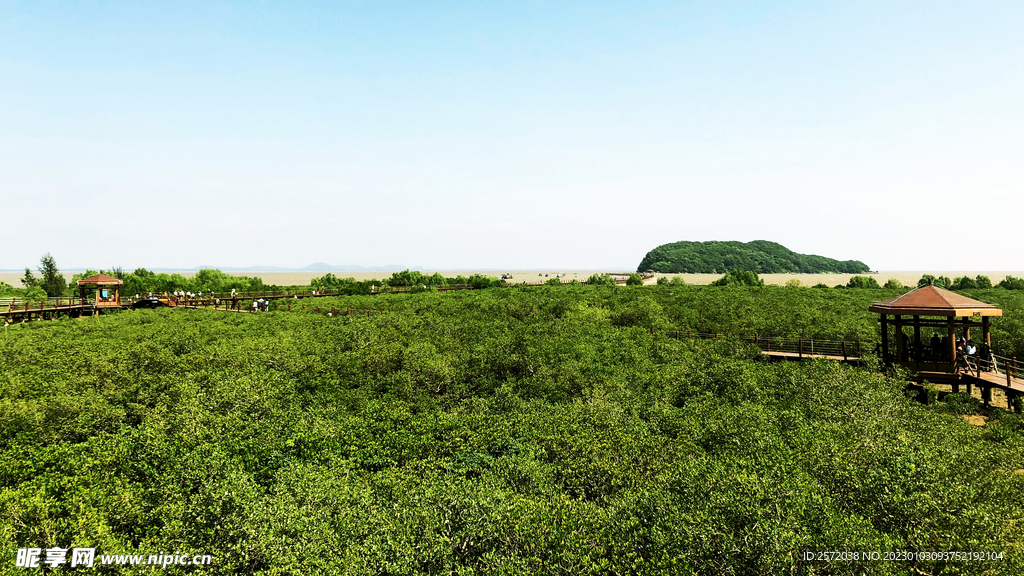 广东海陵岛红树林湿地