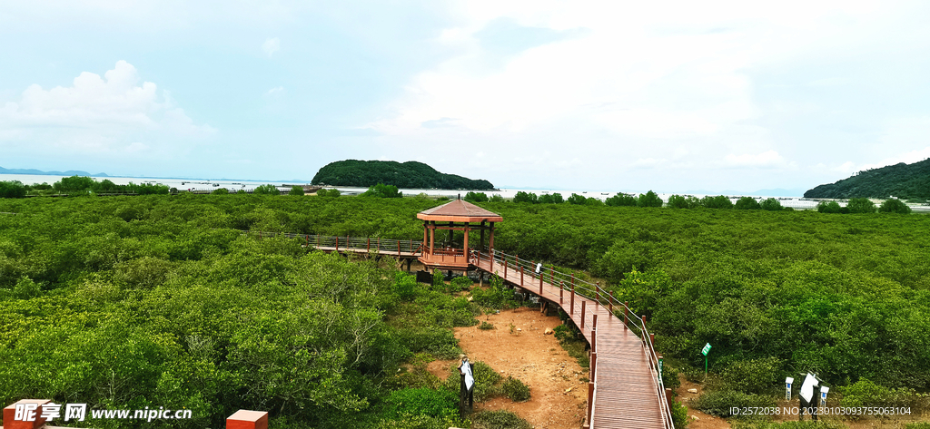 广东海陵岛红树林湿地