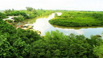 海南东寨港红树林湿地