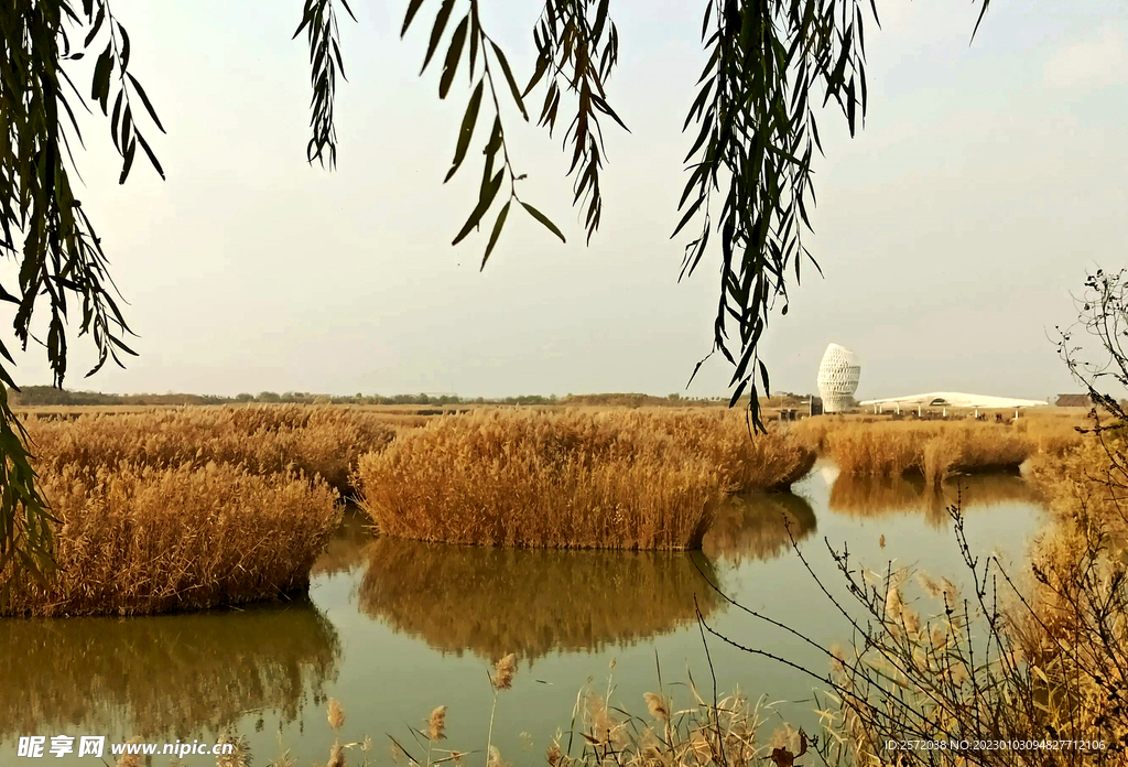 山东寿光巨淀湖湿地公园