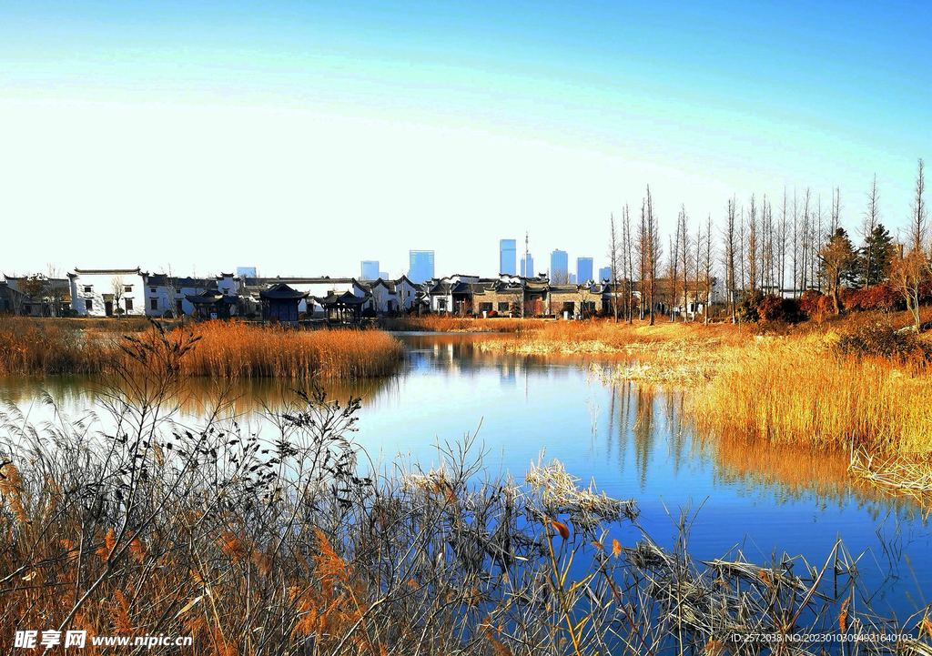 山东青岛唐岛湾湿地公园