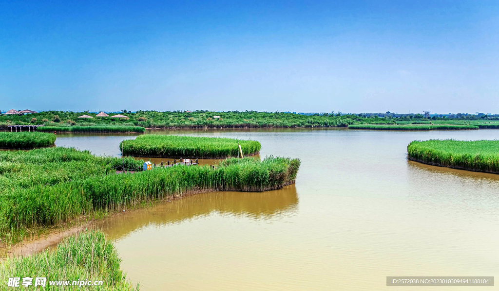 山东寿光巨淀湖湿地公园