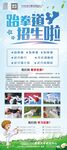 招生易拉宝海报设计模板PSD