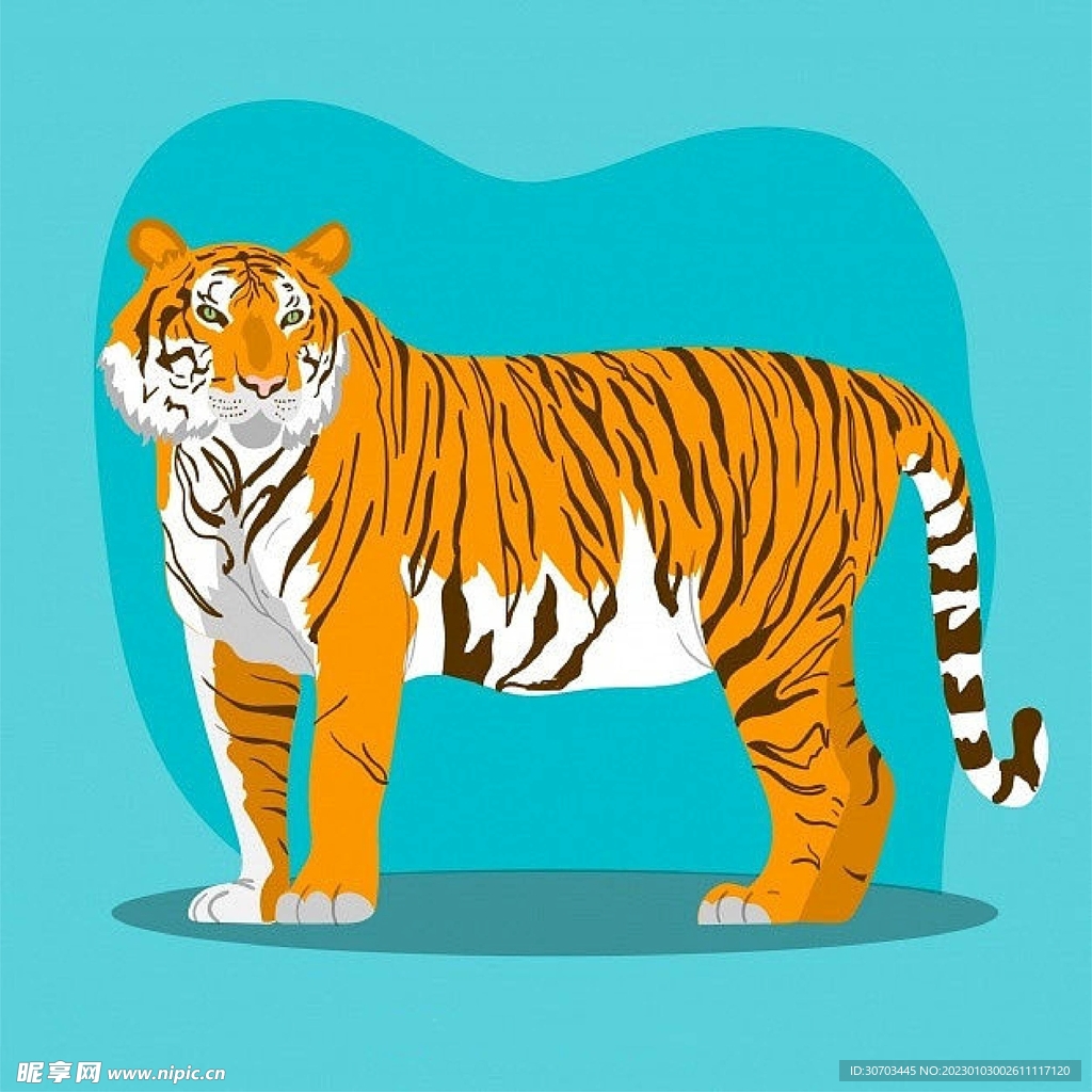 蓝色背景和老虎