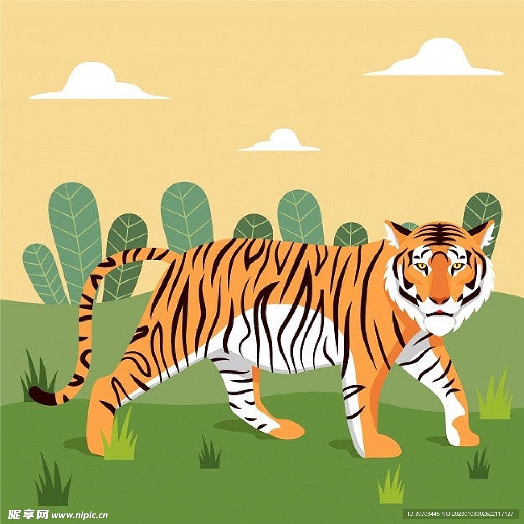 老虎和草坪