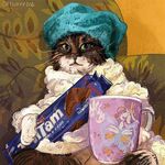 猫