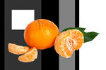 橘子分层图