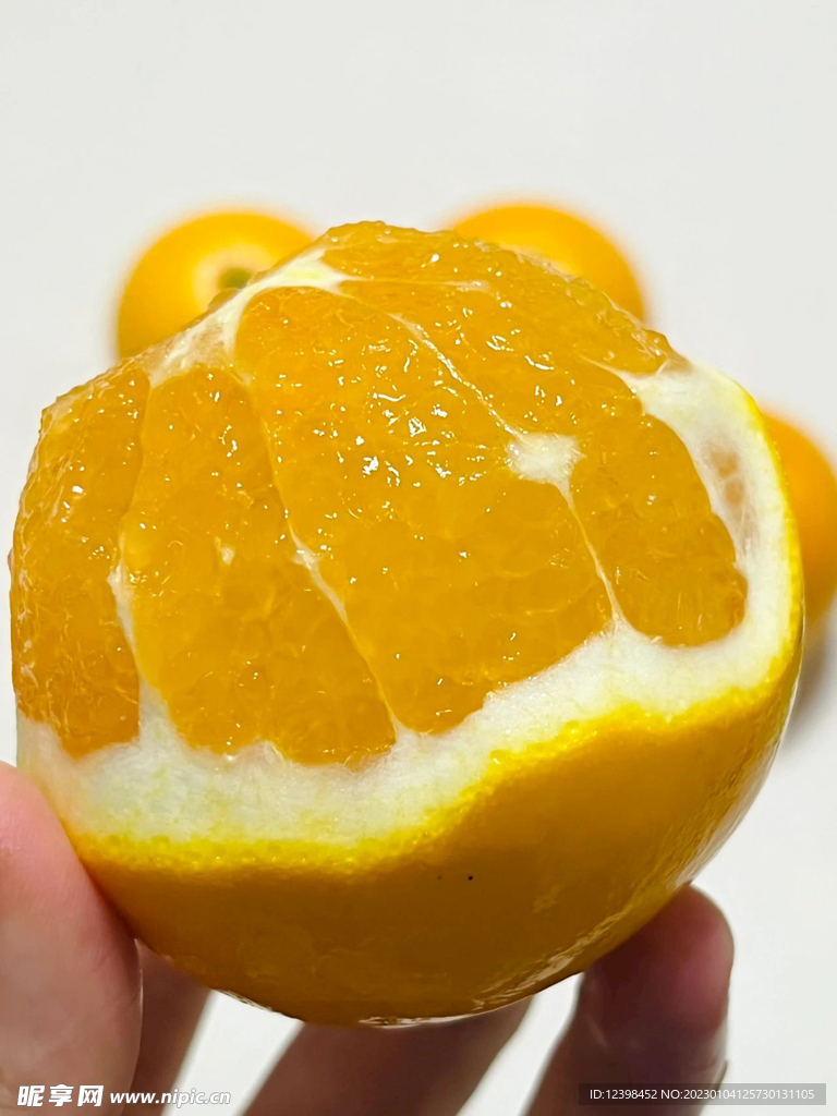 脐橙