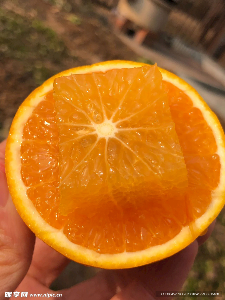 香橙