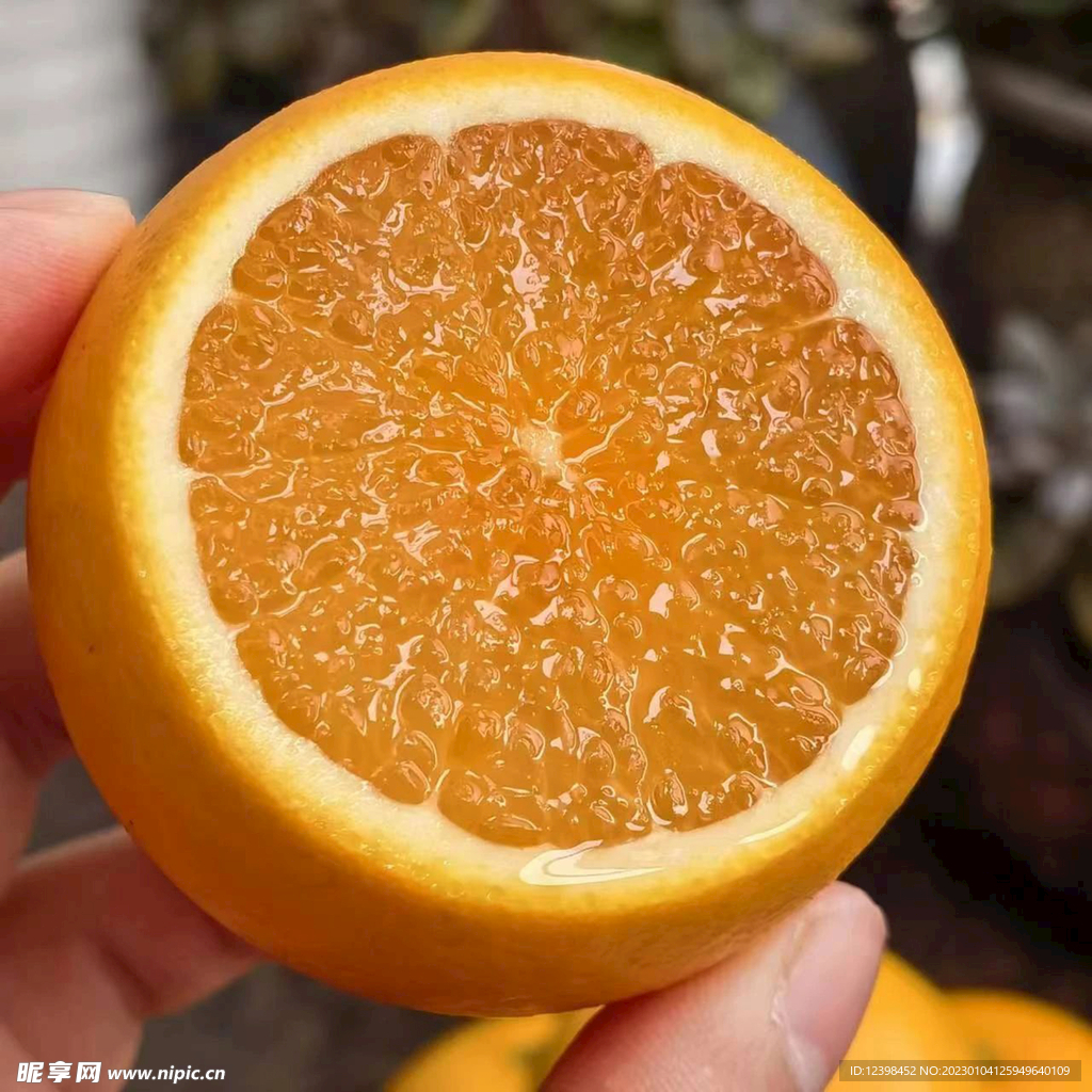 脐橙