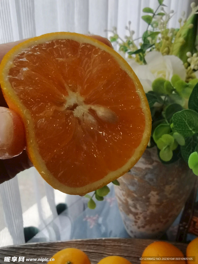 脐橙
