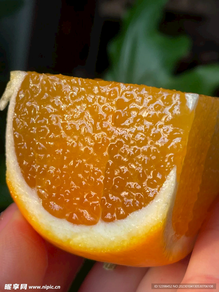 香橙