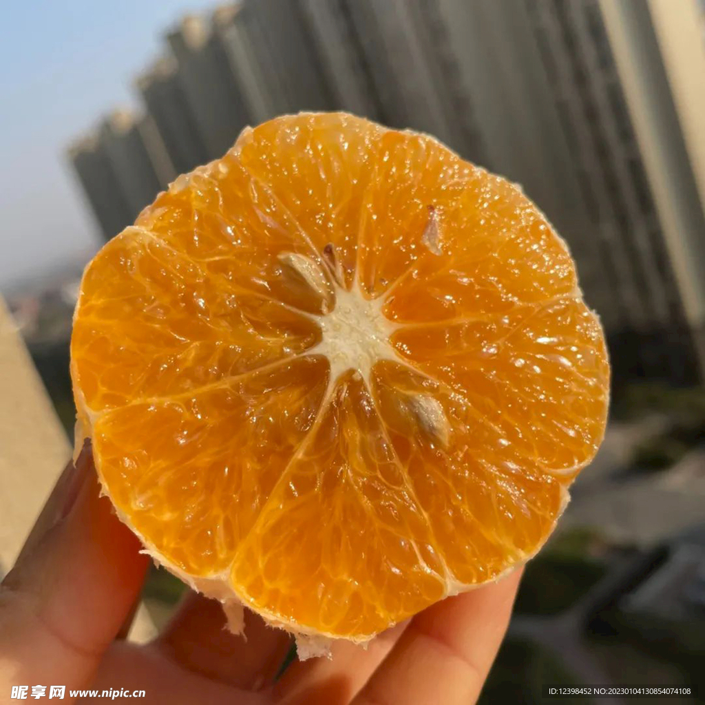 脐橙