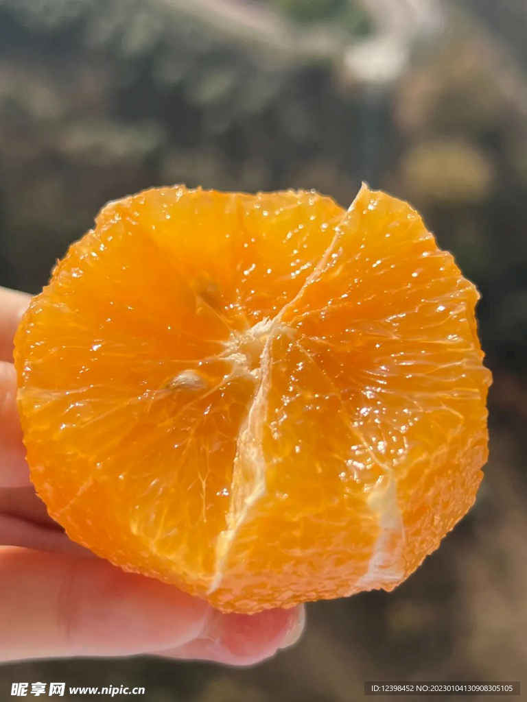 脐橙