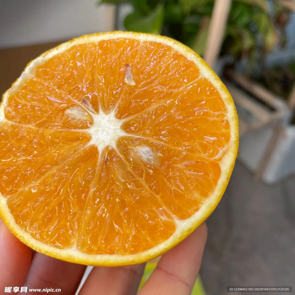 脐橙