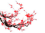 梅花素材