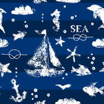 船锚鱼海星