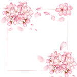 粉色桃花樱花