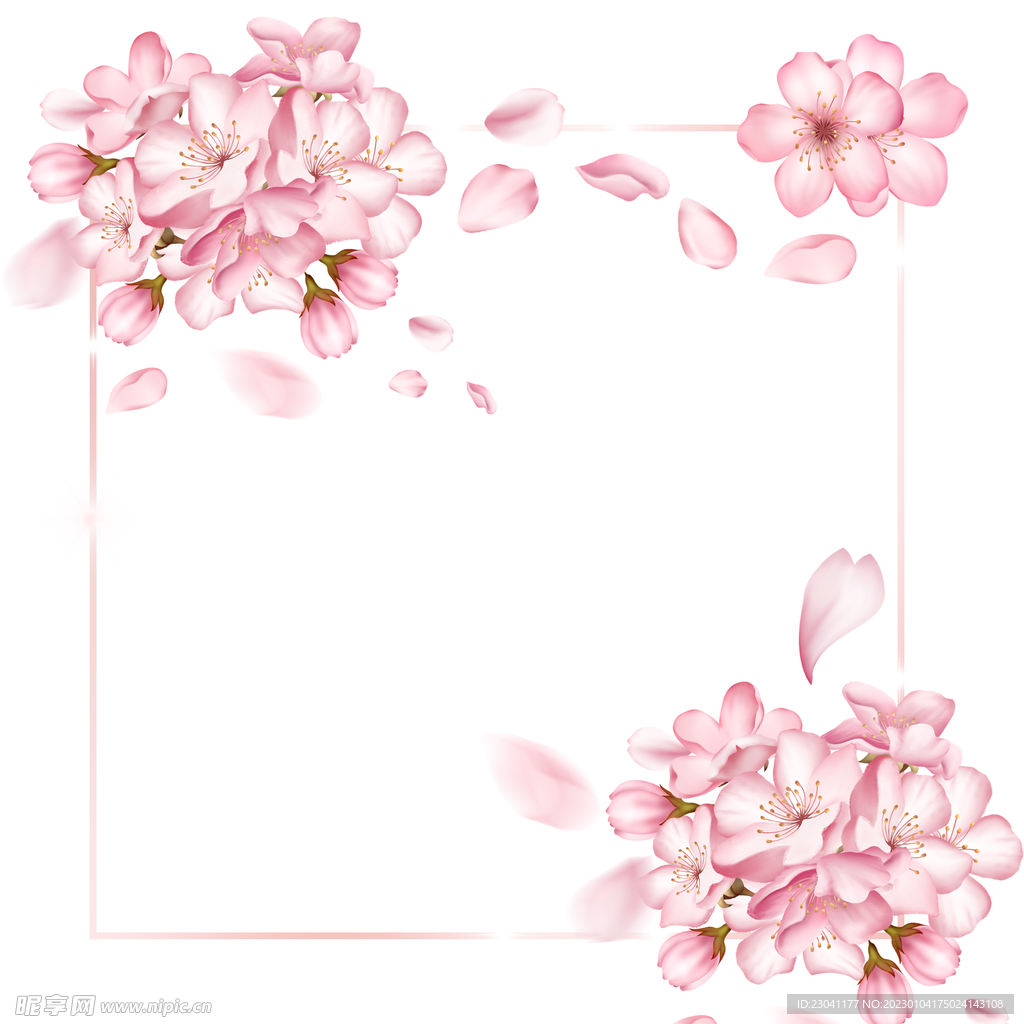 粉色桃花樱花