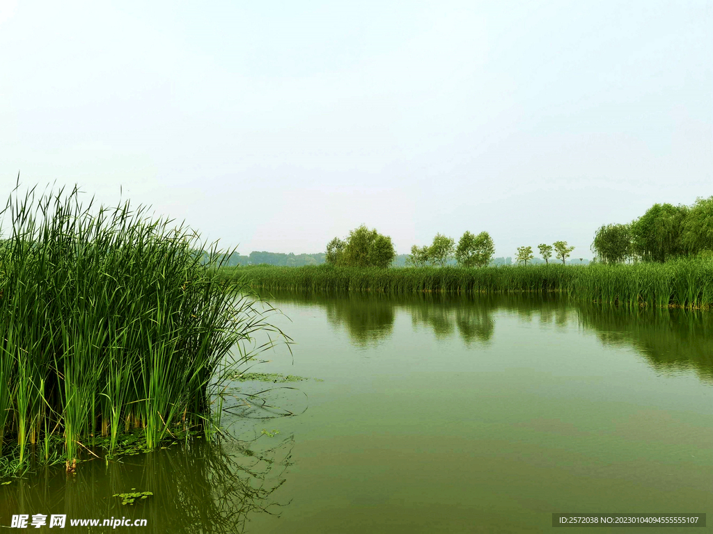 天津潮白河湿地公园