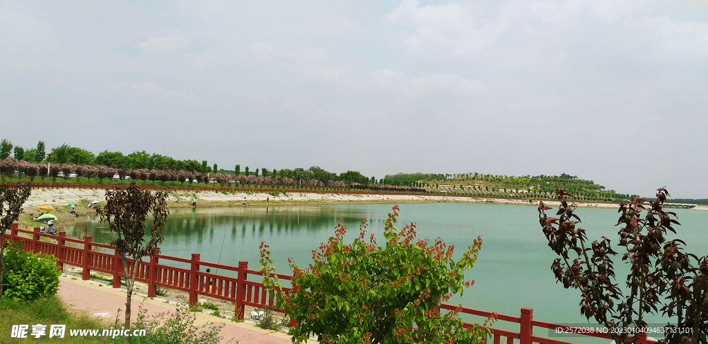 山东汶上莲花湖湿地公园