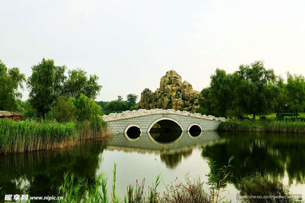 山东汶上莲花湖湿地公园