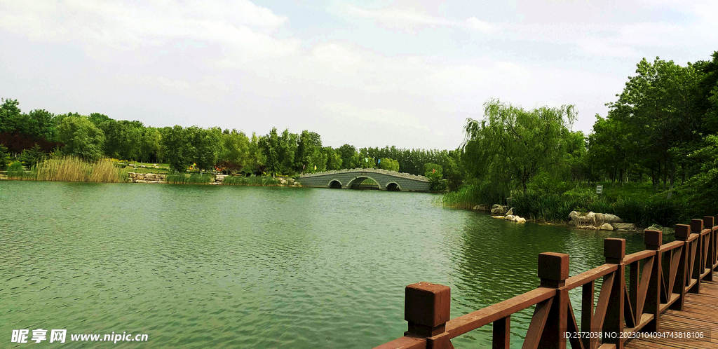 山东汶上莲花湖湿地公园