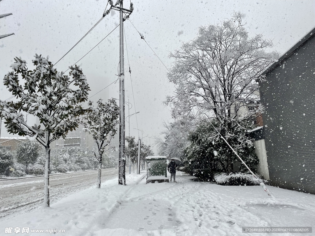 雪景