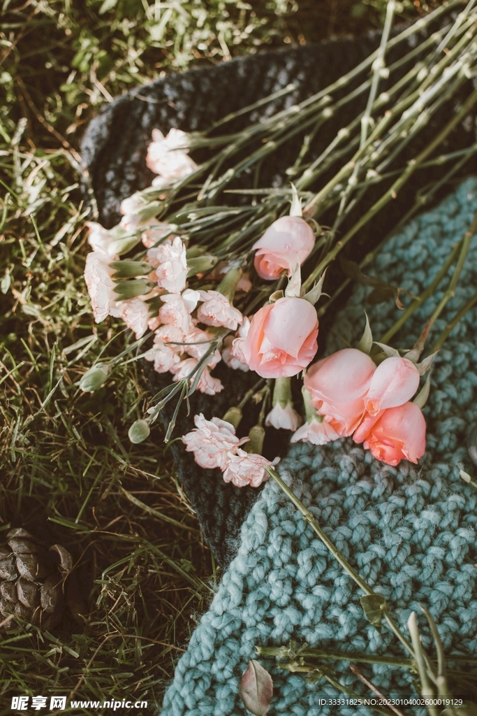 玫瑰花