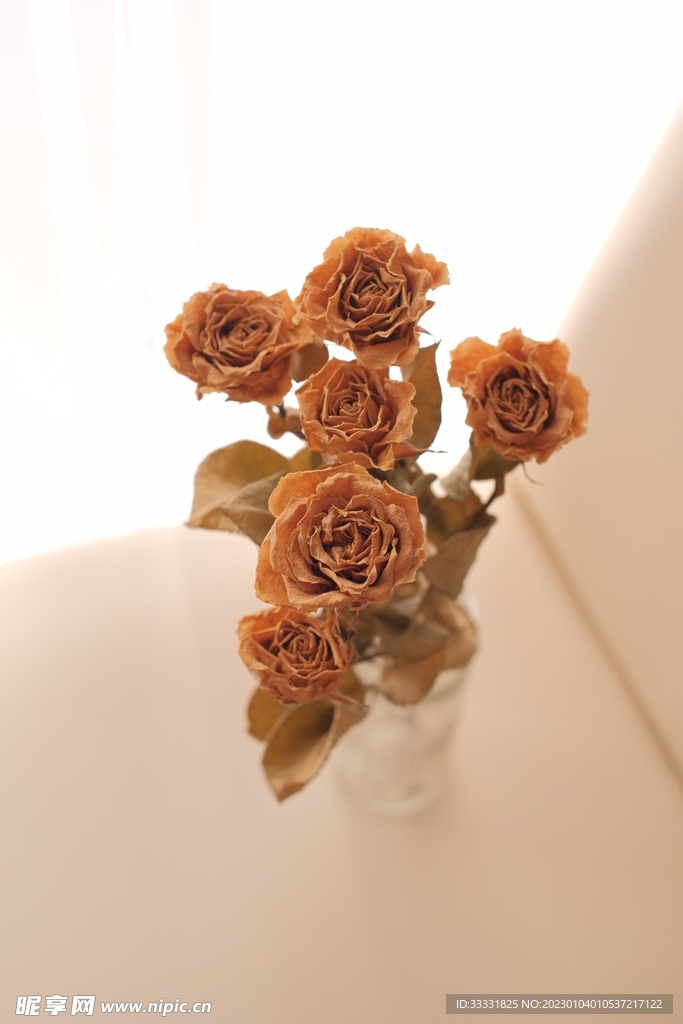 玫瑰花