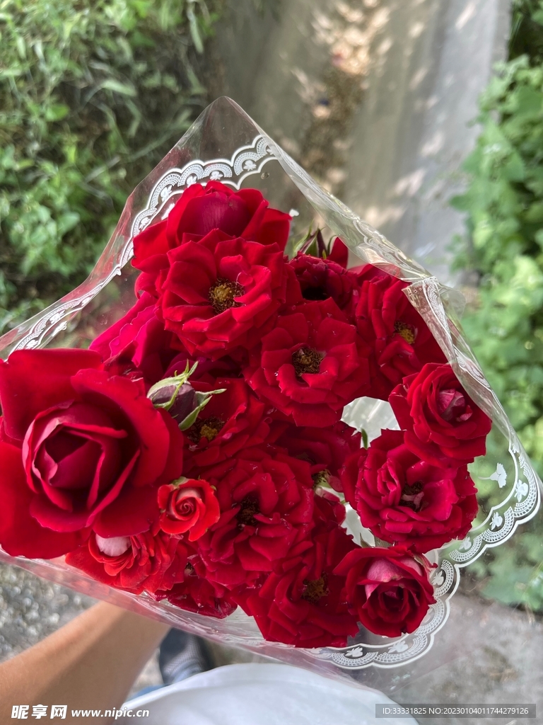 玫瑰花