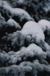 雪