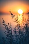 夕阳