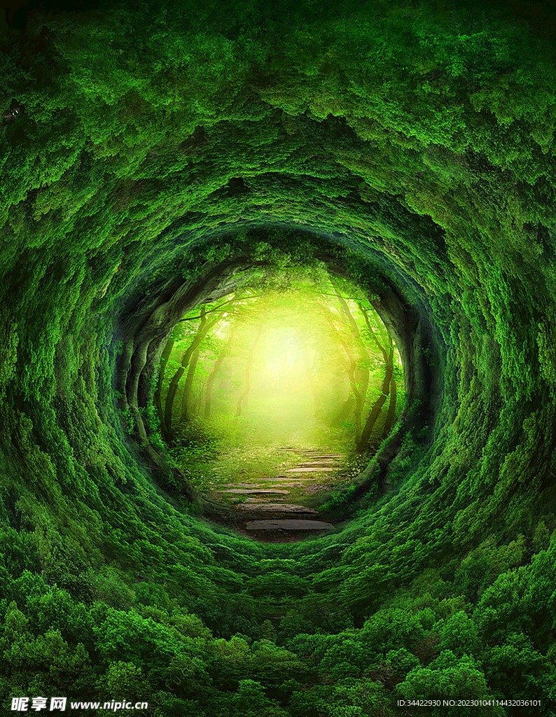 梦幻森林