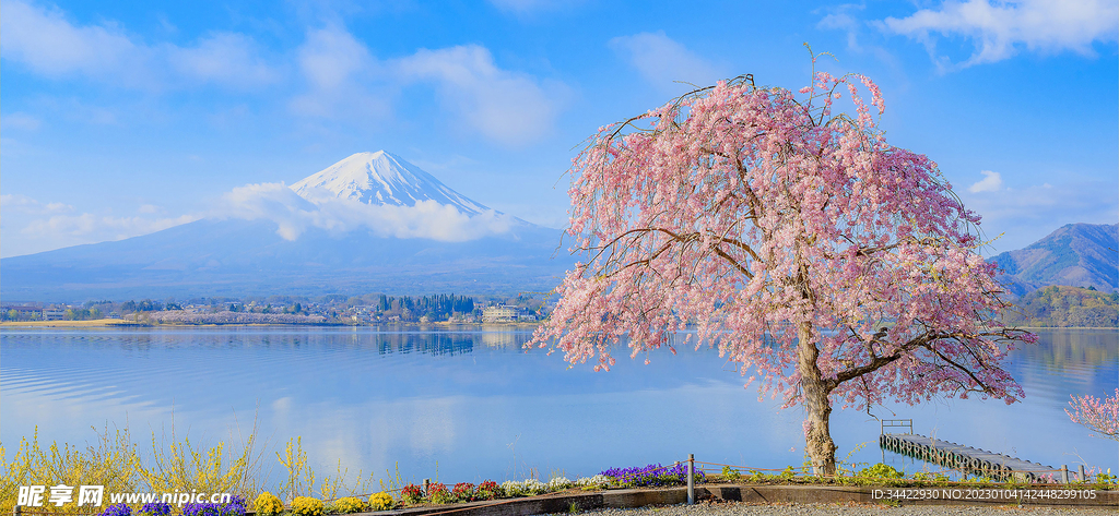 春日风景