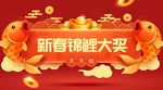 锦鲤