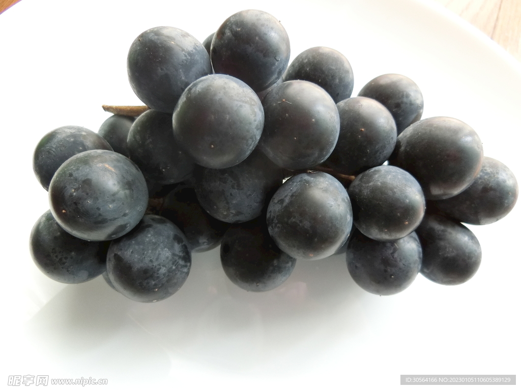 葡萄