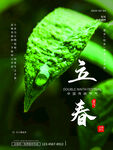 立春海报