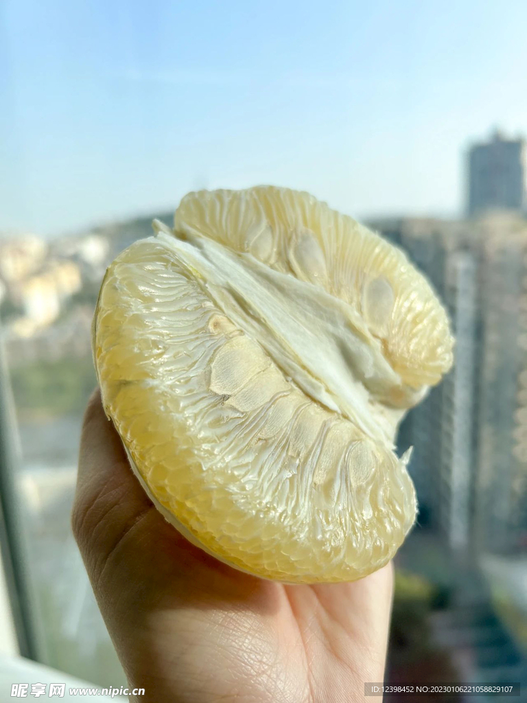 柚子