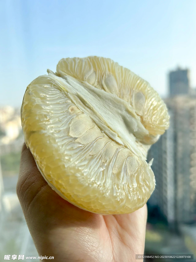 柚子