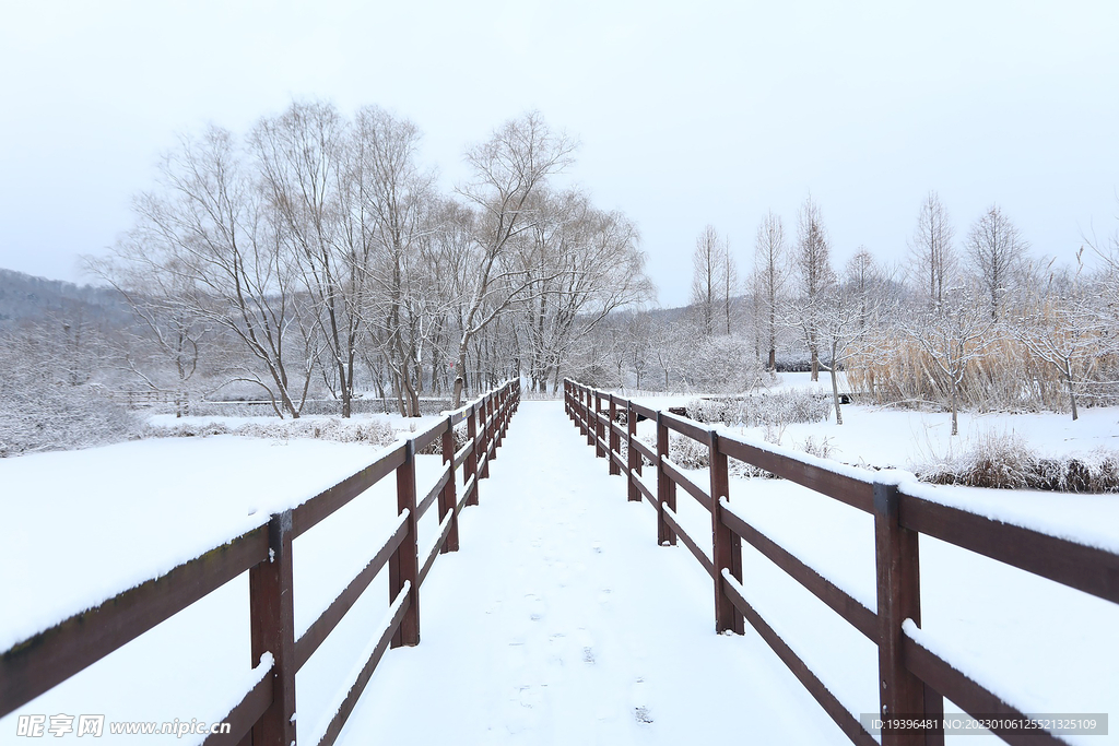 雪中栈道