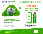 华派 胃腹痢抗