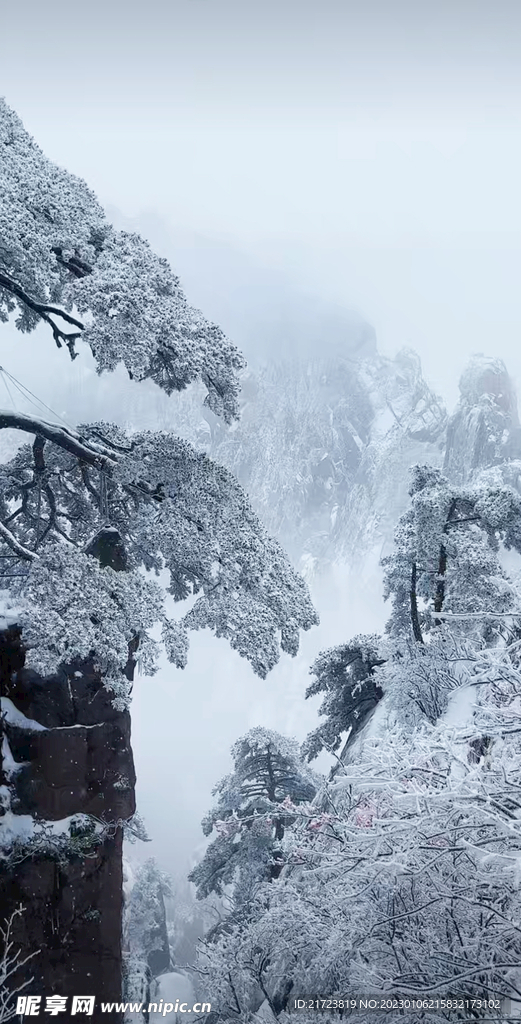 雪景