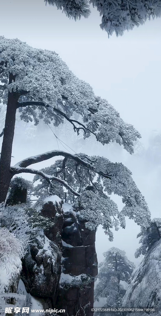 雪景