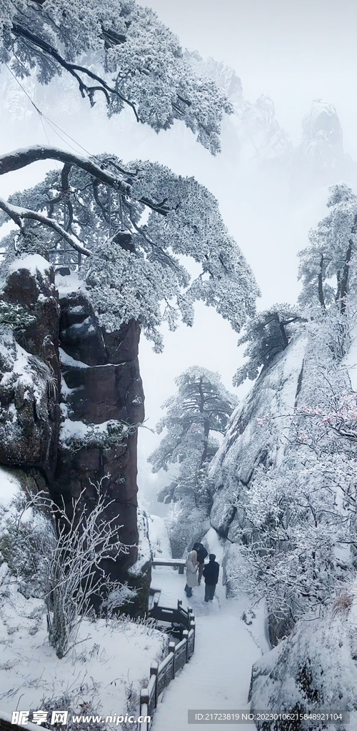 雪景