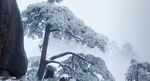 松山雪景