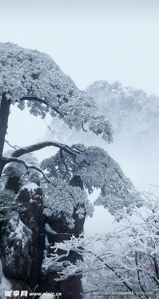 雪景