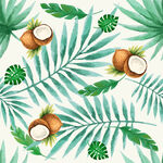 水彩椰子热带树叶