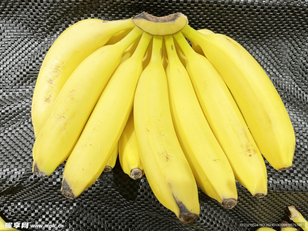 香蕉如何保鲜 绝对有效的生活技巧_齐家网