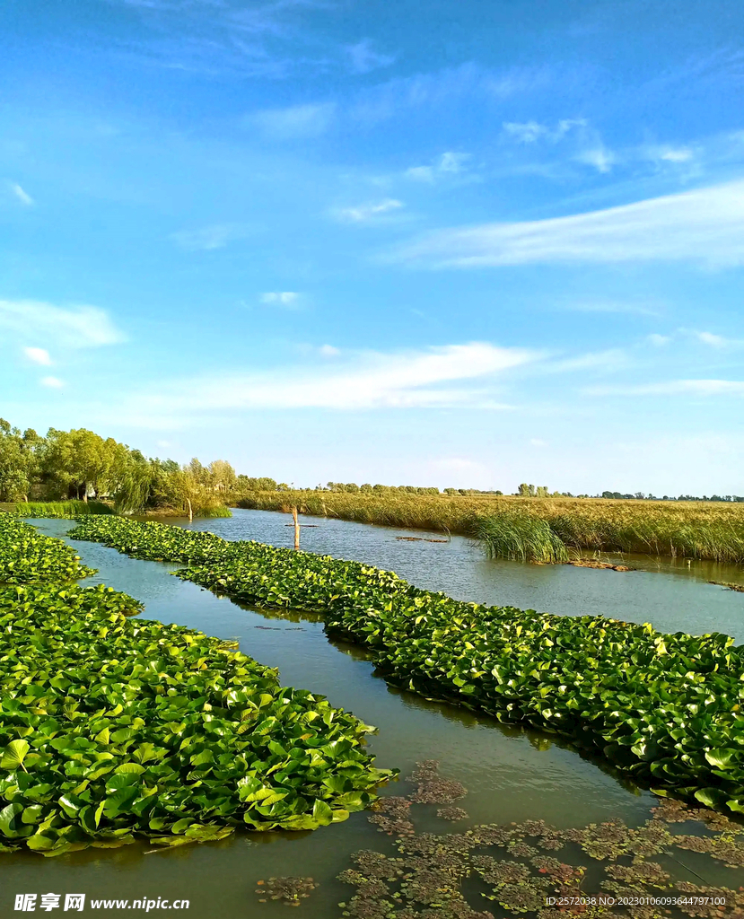 黑龙江大庆鹤鸣湖湿地